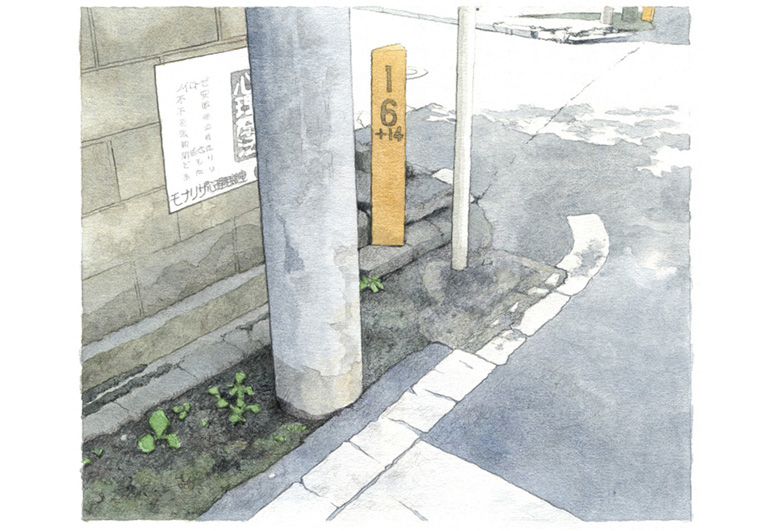 写真の説明を入れます