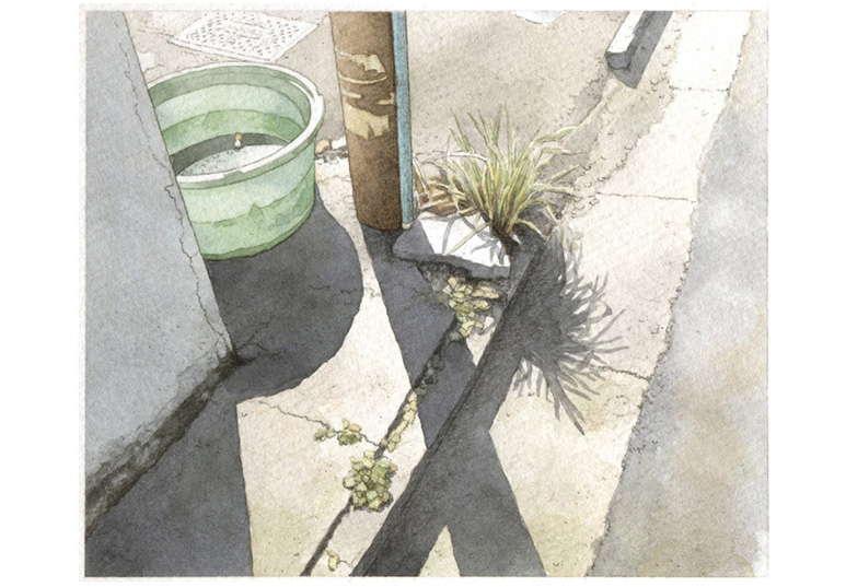 写真の説明を入れます