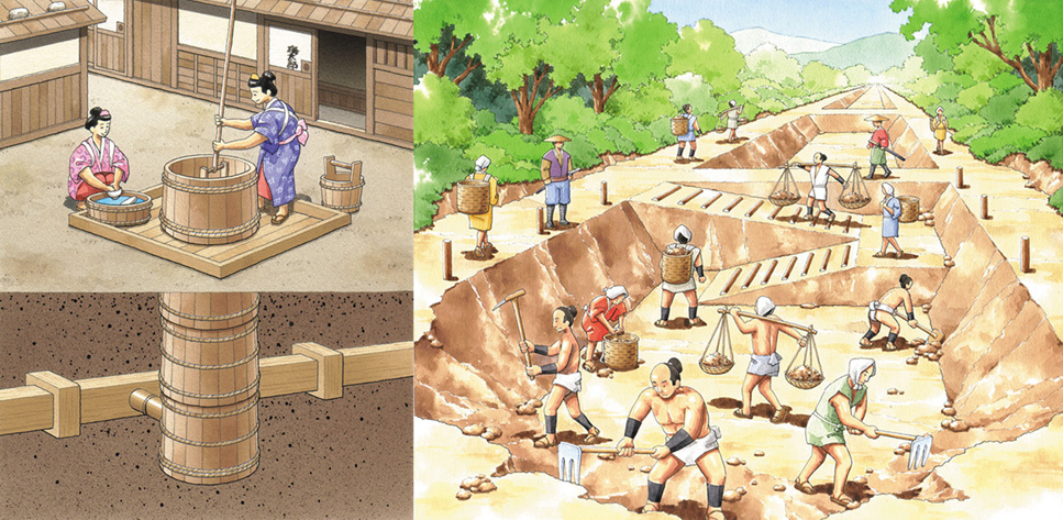 写真の説明を入れます