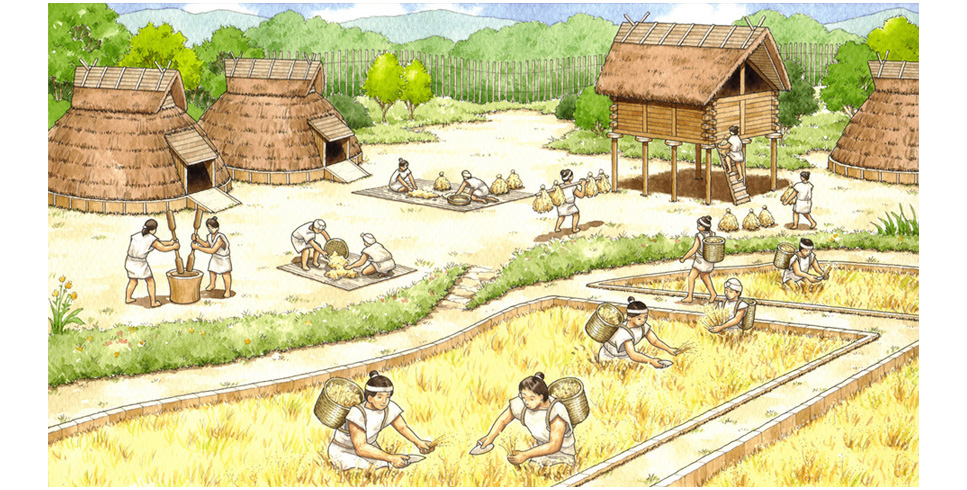 写真の説明を入れます