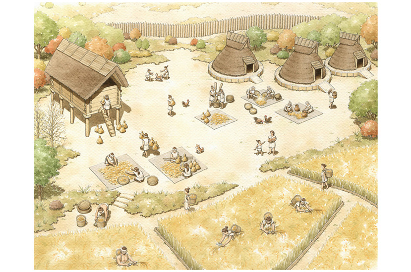 写真の説明を入れます