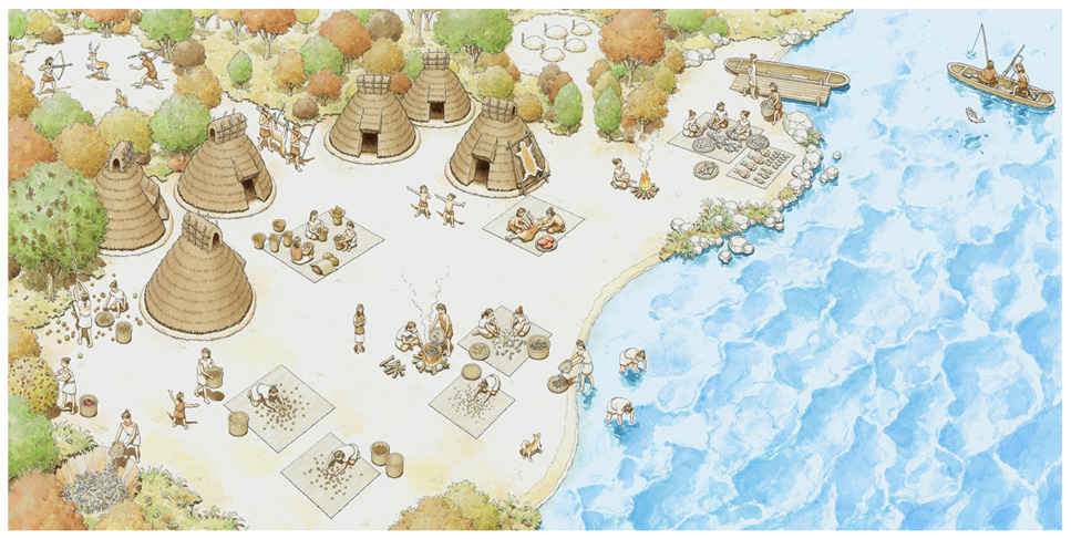 写真の説明を入れます