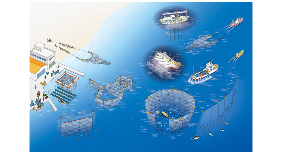 写真の説明を入れます