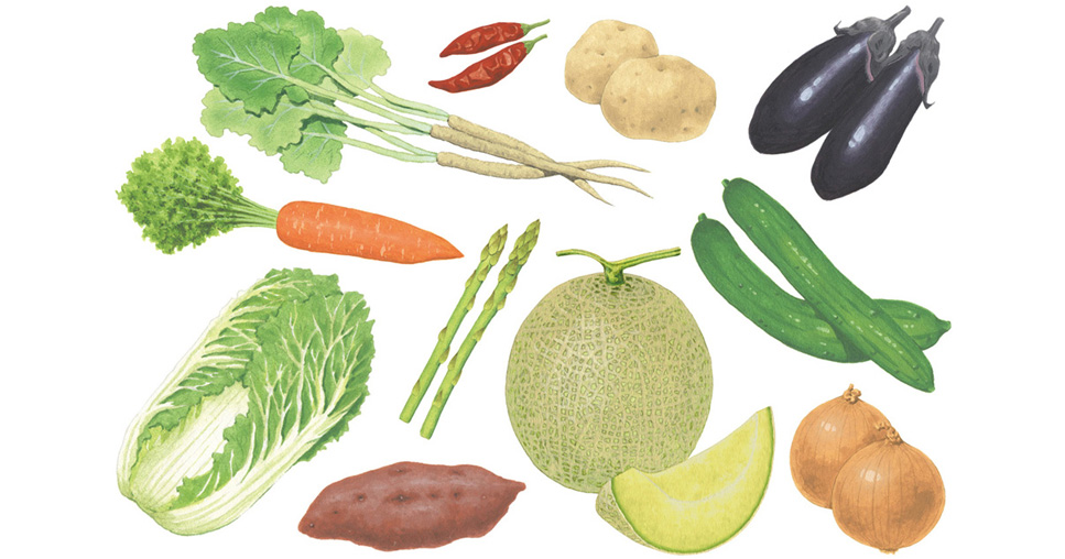 写真の説明を入れます