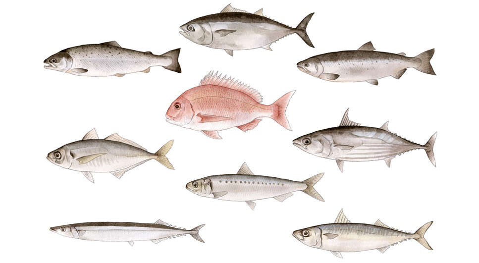 写真の説明を入れます