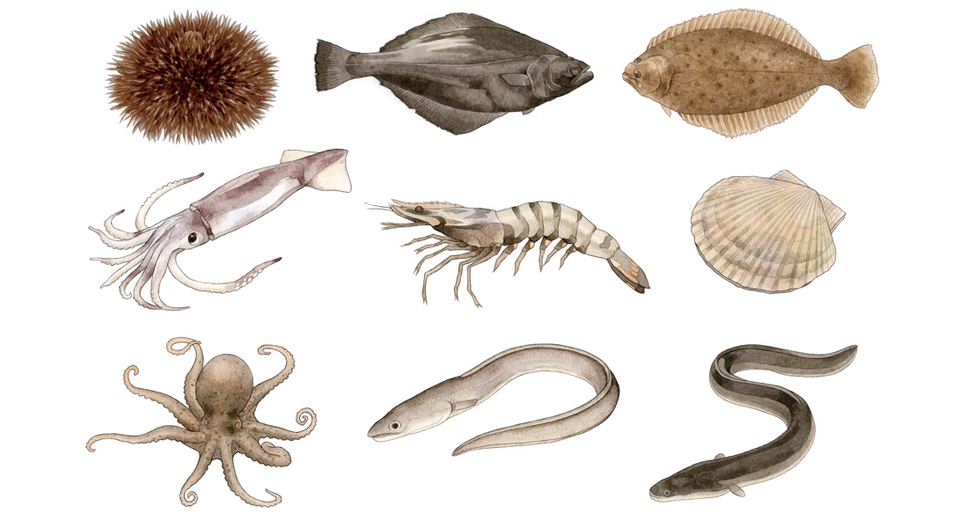 写真の説明を入れます